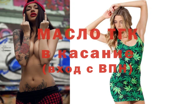 шишки Аркадак