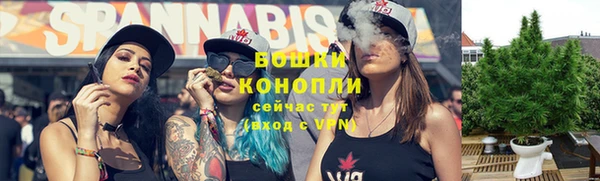 шишки Аркадак