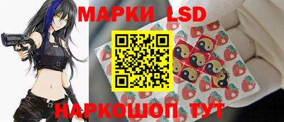 СК Новодвинск