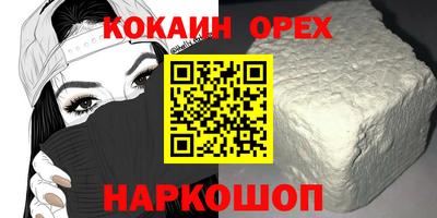 СК Новодвинск