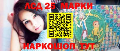СК Новодвинск