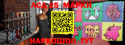 СК Новодвинск