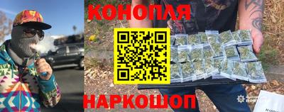 СК Новодвинск