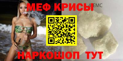 СК Новодвинск