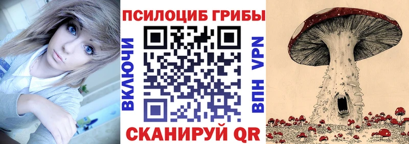 Псилоцибиновые грибы Psilocybine cubensis Шатура